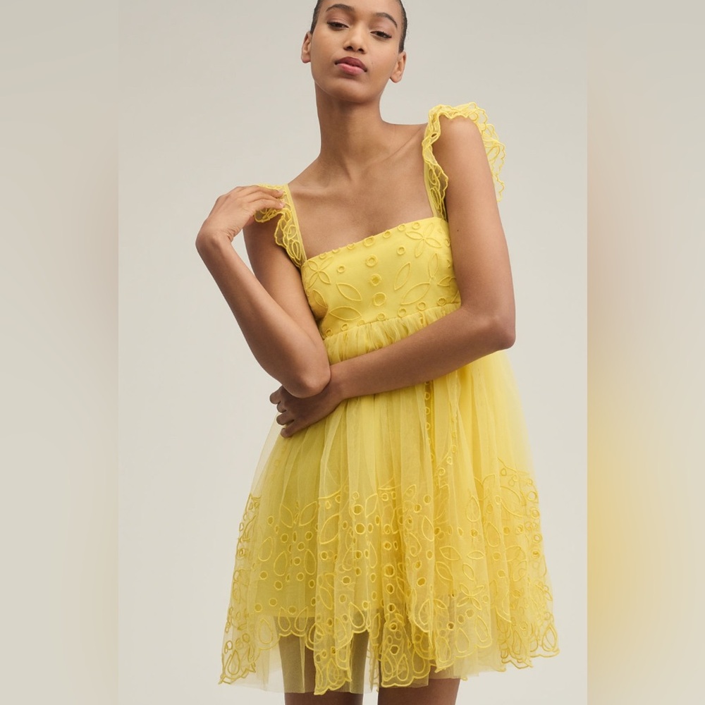 ✨ Anthropologie Eyelet Tulle Mini Dress Sz XL